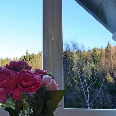 Bed & Breakfast Gronik