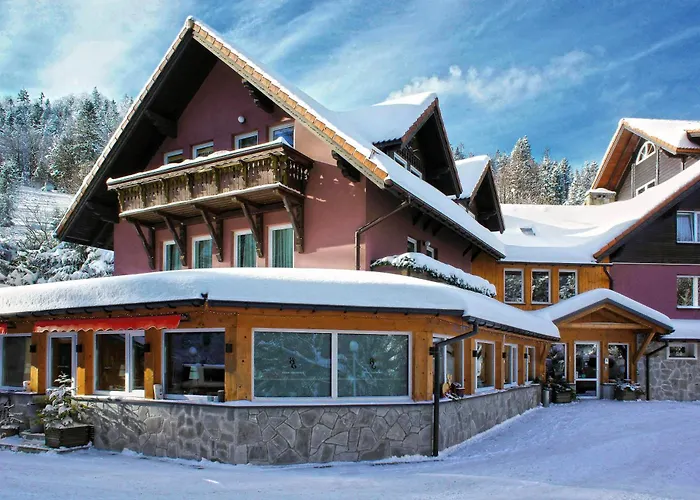 Gronik Bed & Breakfast Szczyrk