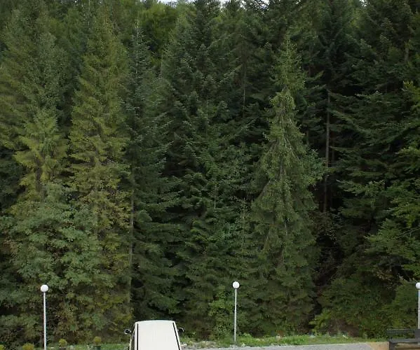 Gronik שצ'צ'ירק